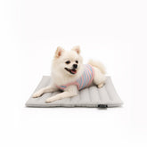 Pet Cooling Mat