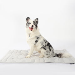 Pet Cooling Mat