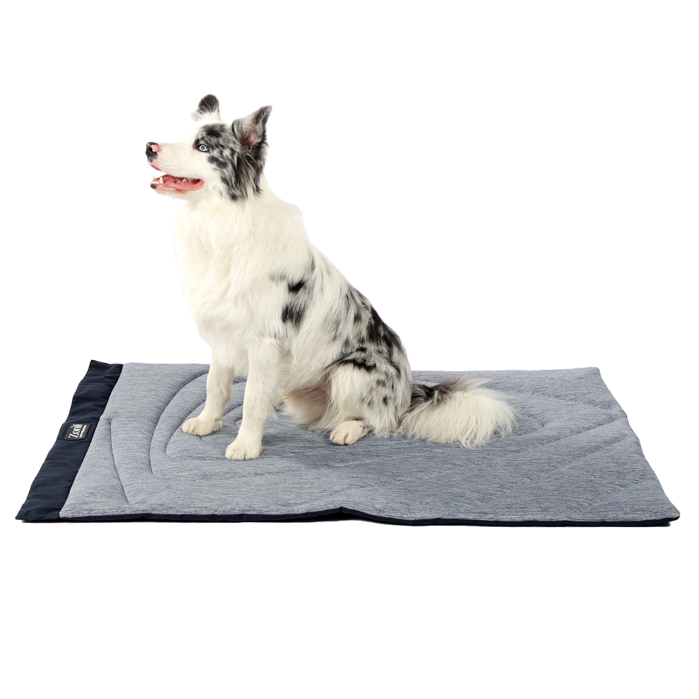 CoolVenture Pet Mat