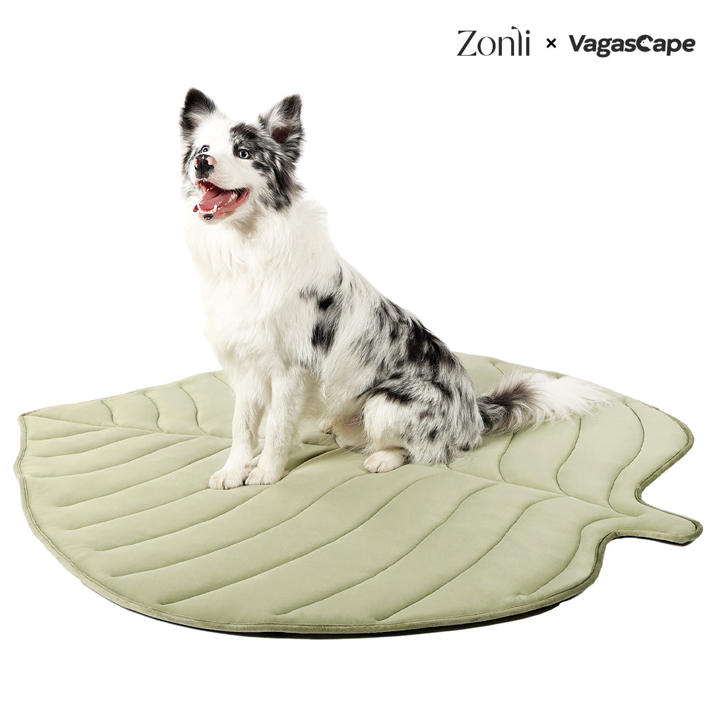 Leaf-Shaped Pet Cooling Mat