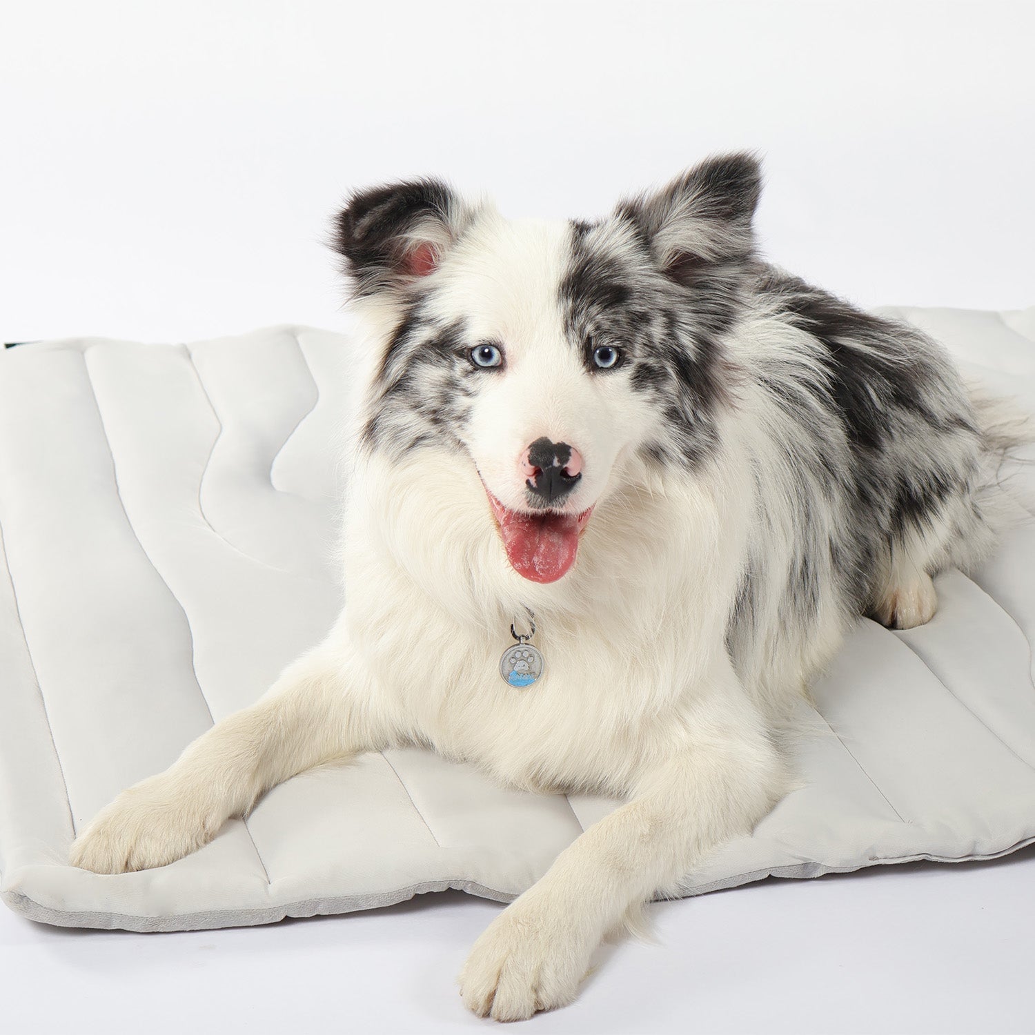 Pet Cooling Mat