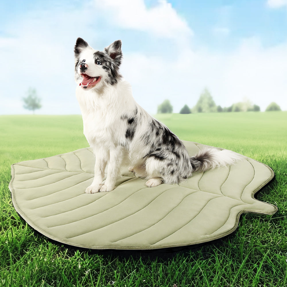 Leaf-Shaped Pet Cooling Mat