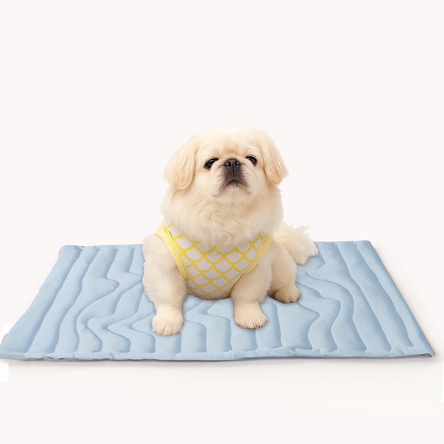 Pet Cooling Mat