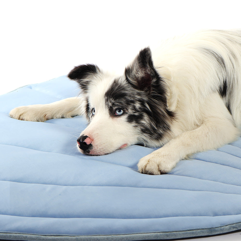 Leaf-Shaped Pet Cooling Mat